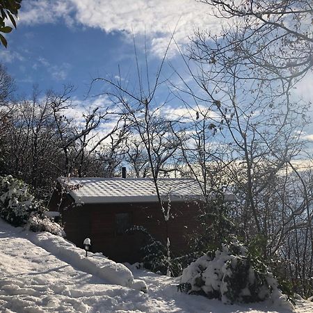 "La Romantica" Rifugio Nel Bosco Astano エクステリア 写真
