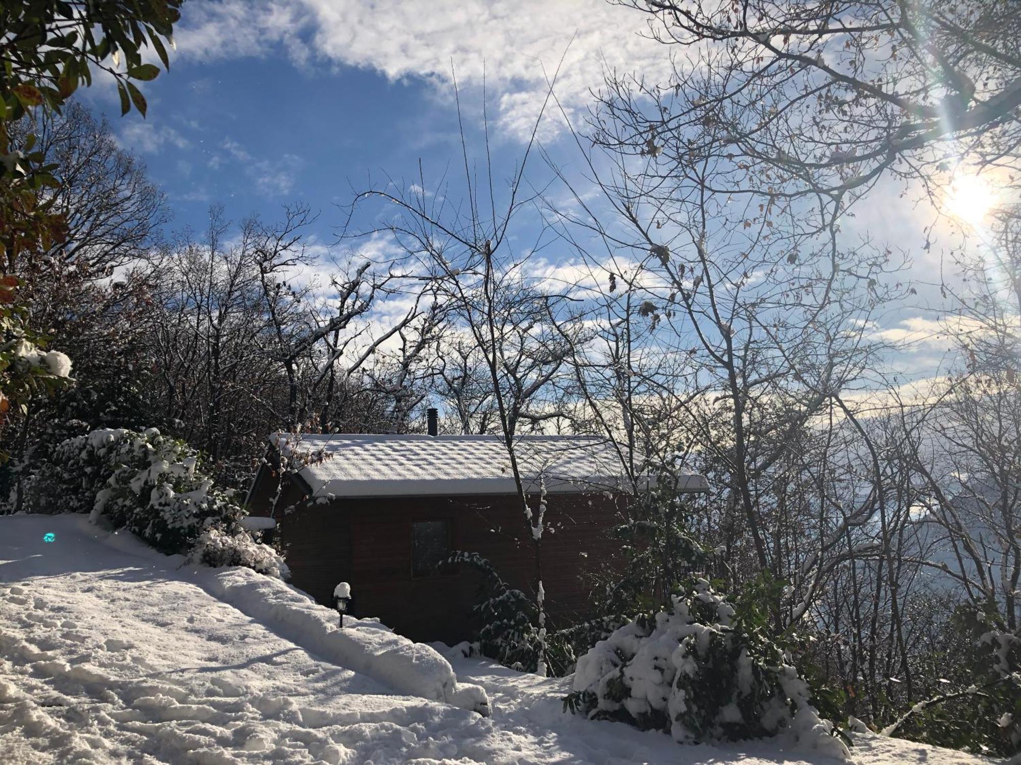 "La Romantica" Rifugio Nel Bosco Astano エクステリア 写真
