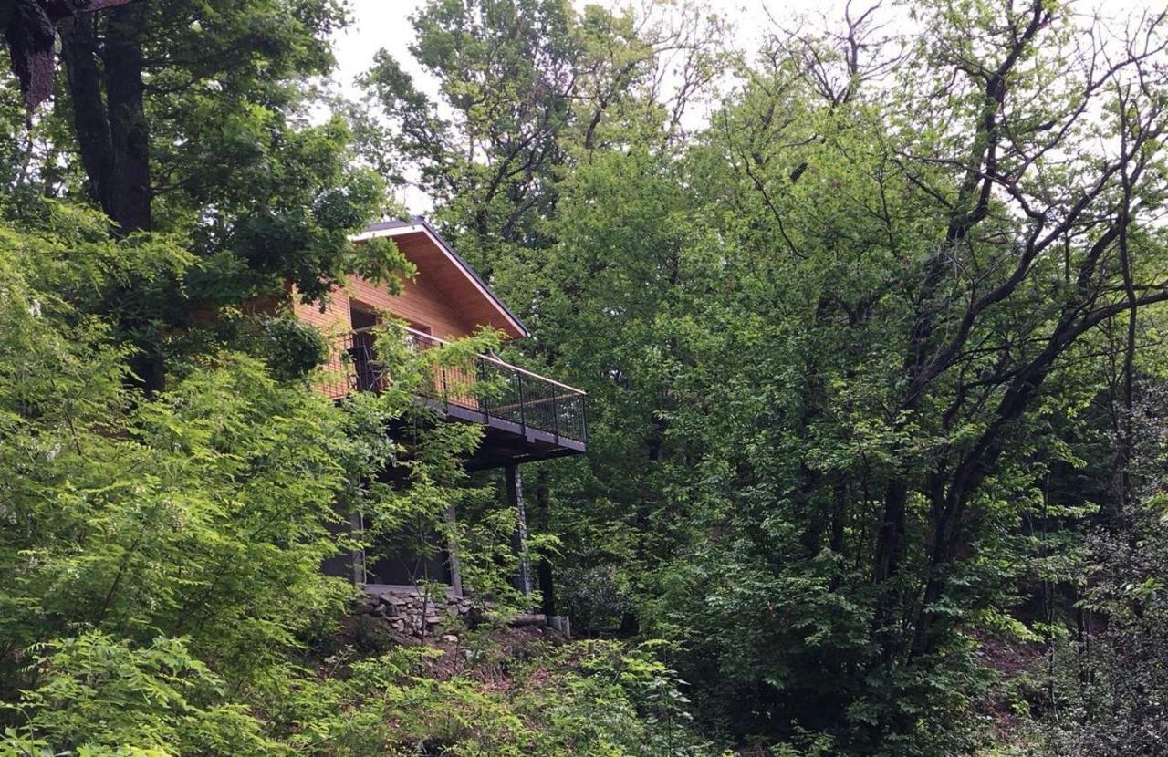 "La Romantica" Rifugio Nel Bosco Astano エクステリア 写真